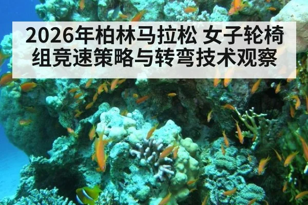 2026年柏林马拉松 女子轮椅组竞速策略与转弯技术观察