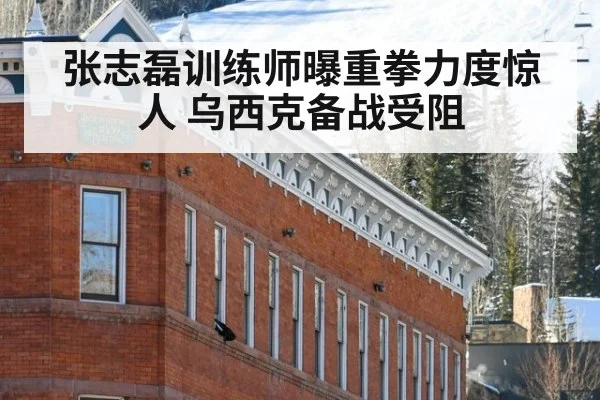 张志磊训练师曝重拳力度惊人 乌西克备战受阻